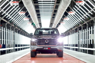 上市即爆款，长城炮十月销量突破5020台领跑市场